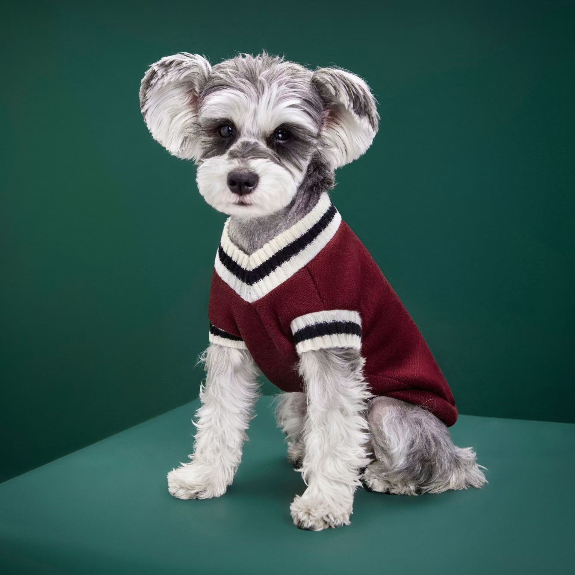 Winter Clothing Manufacturers - Köpek Giyim Üreticisi Toptan Örme Kazaklar