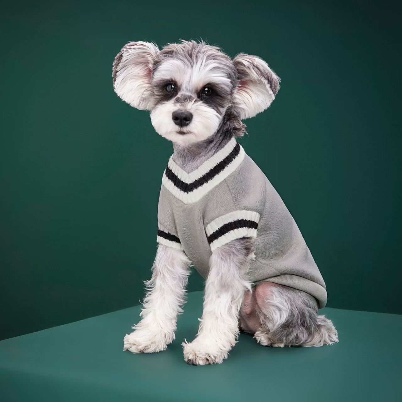 Köpek Giyim Üreticisi Toptan Ö - Winter Clothing Manufacturers incelemesi ve fiyatı