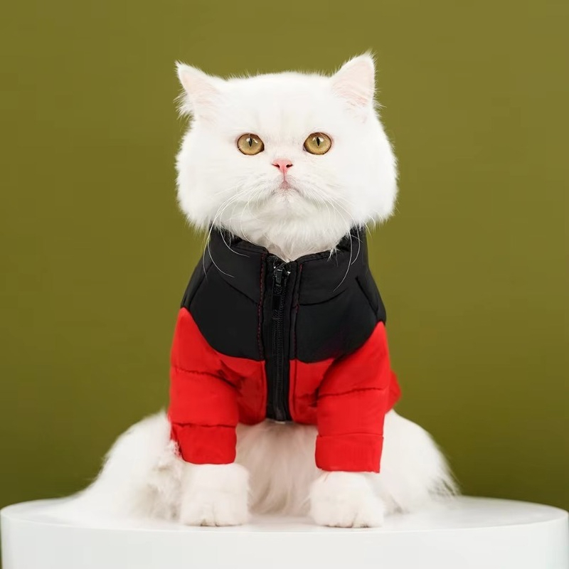Sonbahar ve Kış Lüks Sıcak Köp - Winter Clothing Manufacturers incelemesi ve fiyatı